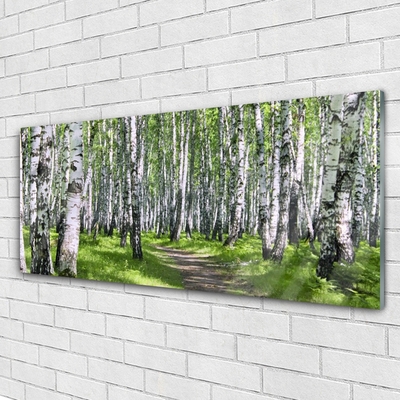 Acrylglasbilder Wald Fußpfad Natur