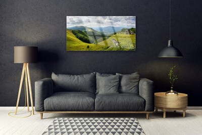 Acrylglasbilder Gebirge Wiese Landschaft