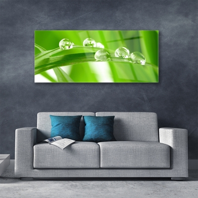 Acrylglasbilder Blätter Pflanzen