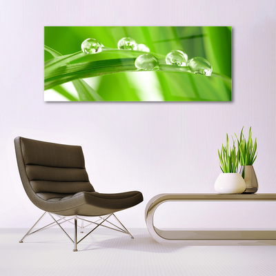 Acrylglasbilder Blätter Pflanzen