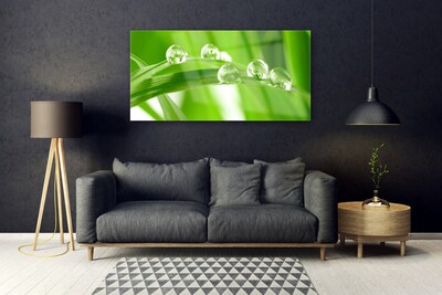 Acrylglasbilder Blätter Pflanzen
