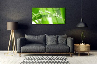 Acrylglasbilder Blätter Pflanzen
