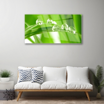 Acrylglasbilder Blätter Pflanzen