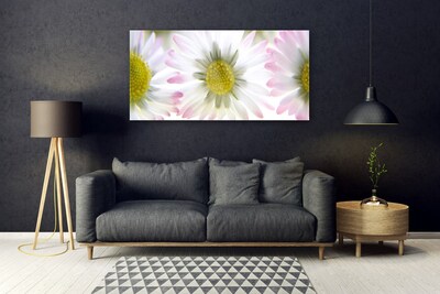 Acrylglasbilder Gänseblümchen Pflanzen