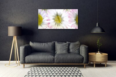 Acrylglasbilder Gänseblümchen Pflanzen