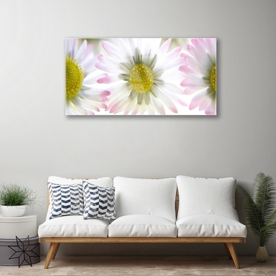 Acrylglasbilder Gänseblümchen Pflanzen