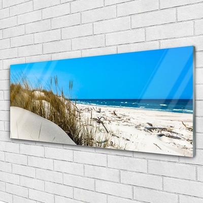 Acrylglasbilder Strand Landschaft