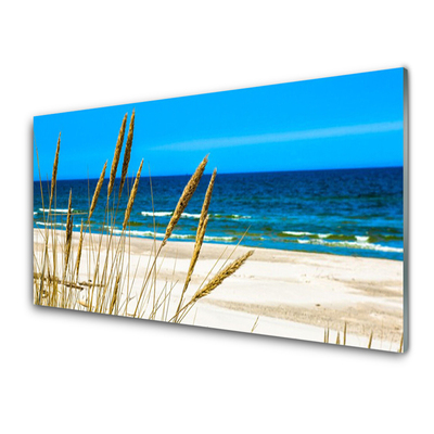 Acrylglasbilder Meer Strand Landschaft