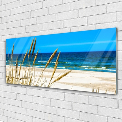 Acrylglasbilder Meer Strand Landschaft