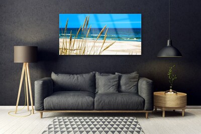 Acrylglasbilder Meer Strand Landschaft