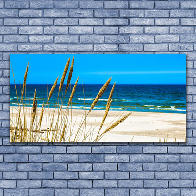 Acrylglasbilder Meer Strand Landschaft