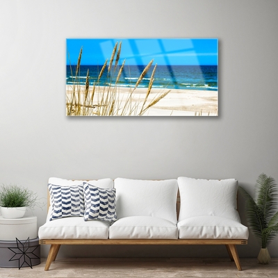 Acrylglasbilder Meer Strand Landschaft