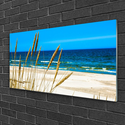 Acrylglasbilder Meer Strand Landschaft