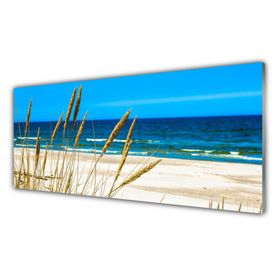 Acrylglasbilder Meer Strand Landschaft