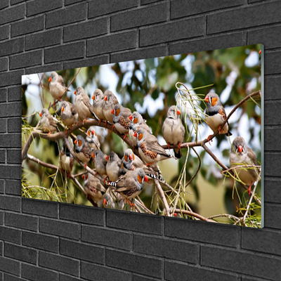Acrylglasbilder Vögel Tiere