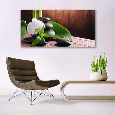 Acrylglasbilder Blumen Steine Blätter Pflanzen