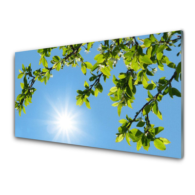 Acrylglasbilder Sonne Natur