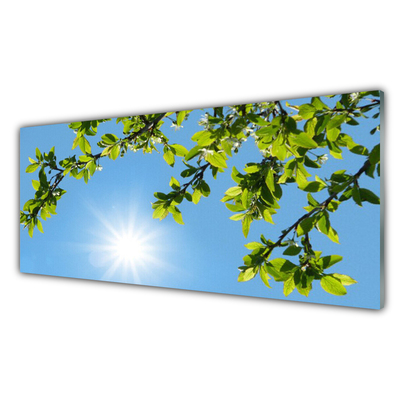 Acrylglasbilder Sonne Natur