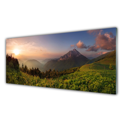 Acrylglasbilder Gebirge Wald Natur