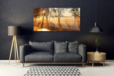 Acrylglasbilder Bäume Natur