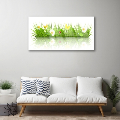 Acrylglasbilder Gras Natur