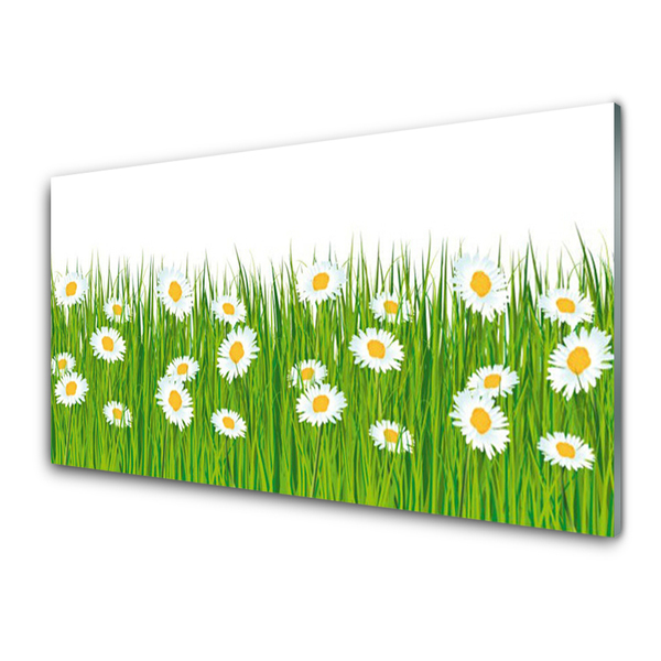 Acrylglasbilder Gras Gänseblümchen Natur