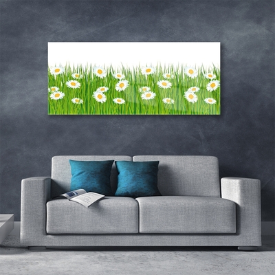 Acrylglasbilder Gras Gänseblümchen Natur