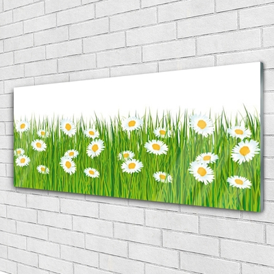 Acrylglasbilder Gras Gänseblümchen Natur