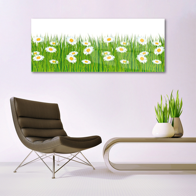 Acrylglasbilder Gras Gänseblümchen Natur