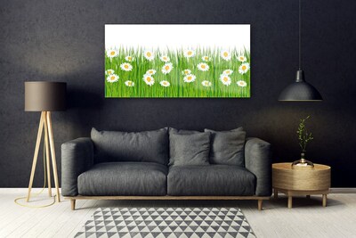 Acrylglasbilder Gras Gänseblümchen Natur