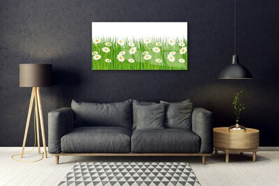 Acrylglasbilder Gras Gänseblümchen Natur