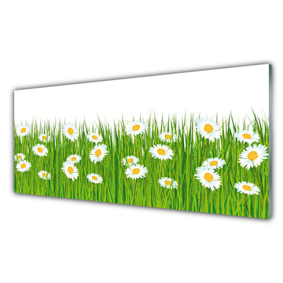 Acrylglasbilder Gras Gänseblümchen Natur