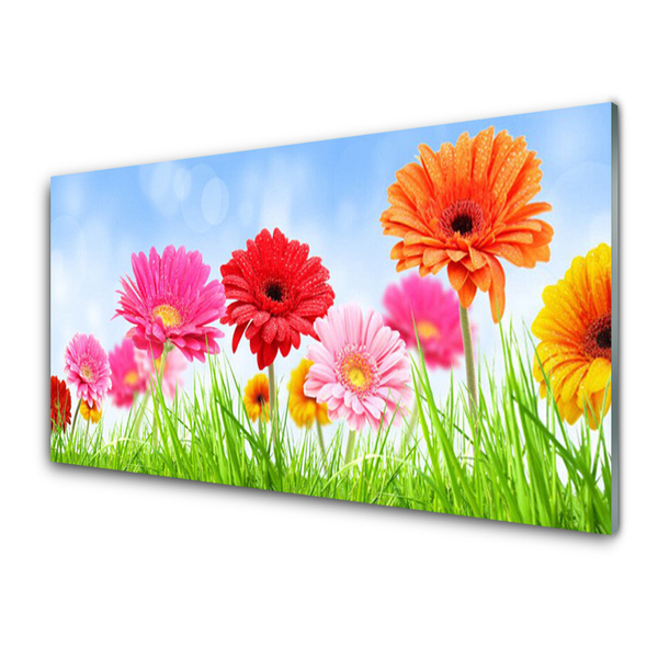 Acrylglasbilder Blumen Gras Pflanzen