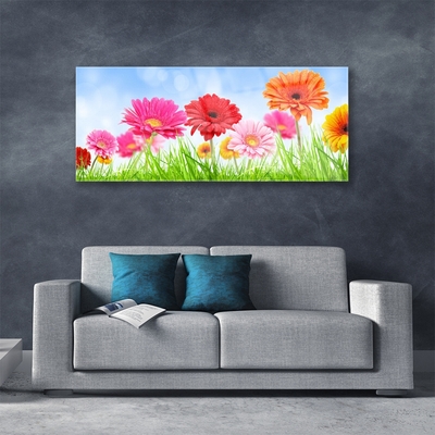 Acrylglasbilder Blumen Gras Pflanzen