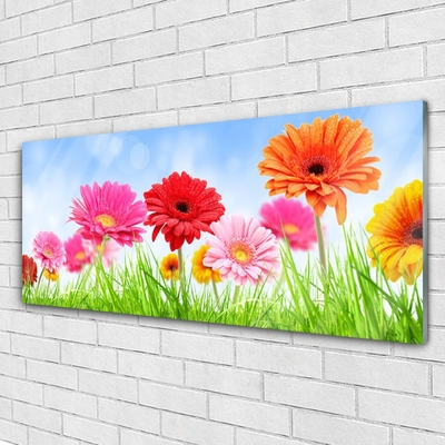 Acrylglasbilder Blumen Gras Pflanzen