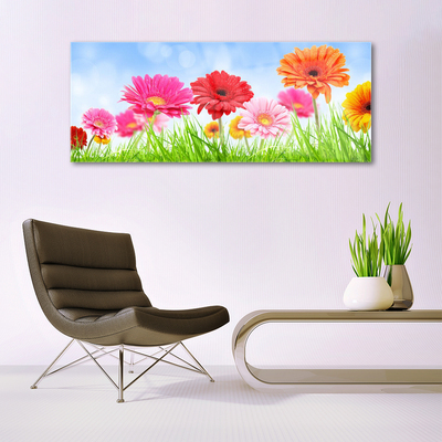 Acrylglasbilder Blumen Gras Pflanzen