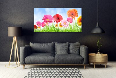 Acrylglasbilder Blumen Gras Pflanzen