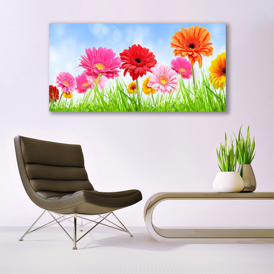 Acrylglasbilder Blumen Gras Pflanzen