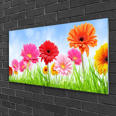 Acrylglasbilder Blumen Gras Pflanzen