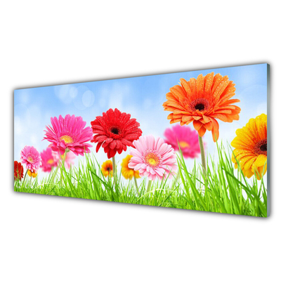 Acrylglasbilder Blumen Gras Pflanzen