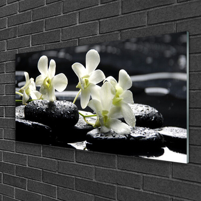 Acrylglasbilder Blumen Steine Pflanzen