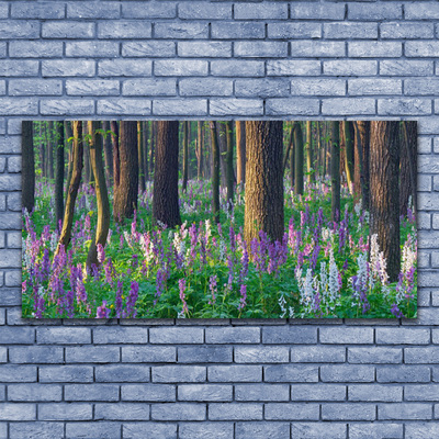 Acrylglasbilder Wald Natur