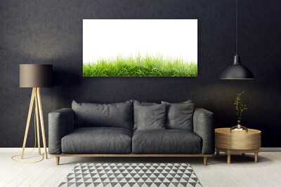Acrylglasbilder Gras Natur