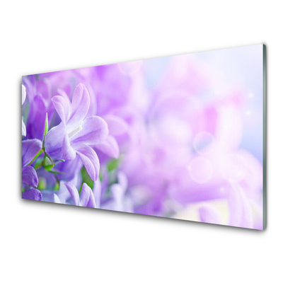 Acrylglasbilder Blumen Pflanzen