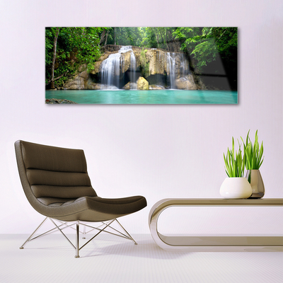 Acrylglasbilder Wasserfall Baum Natur