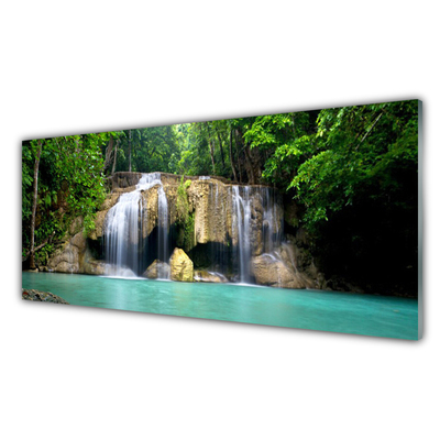 Acrylglasbilder Wasserfall Baum Natur