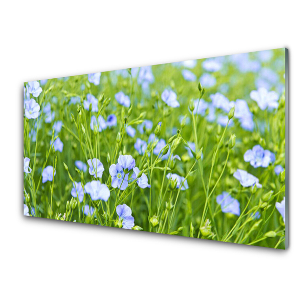 Acrylglasbilder Blumen Gras Natur