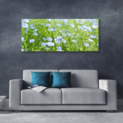 Acrylglasbilder Blumen Gras Natur