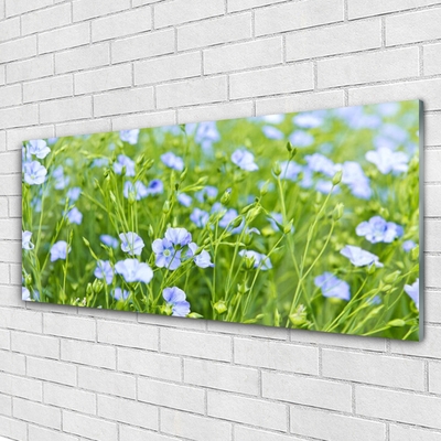 Acrylglasbilder Blumen Gras Natur