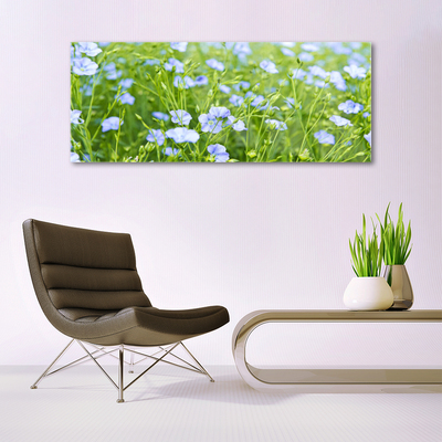 Acrylglasbilder Blumen Gras Natur